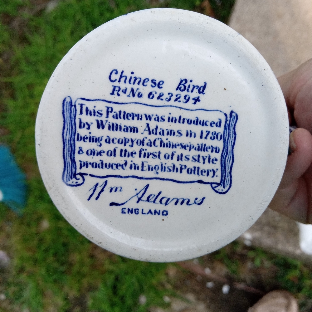 Chinese Bird From Adam's England bone chine tea cup